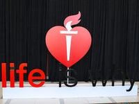 2015年国际卒中大会（ISC2015）