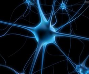 2015年美国神经病学会年会（AAN2015）