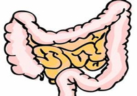 2015年消化道疾病周（DDW）