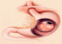 2015年消化道疾病周（DDW）