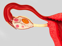 2015美国临床肿瘤大会（ASCO）