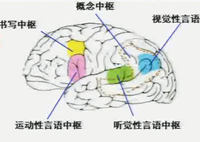 第七届北京安贞脑血管病论坛