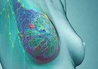 第三届海峡乳腺论坛暨第五届福建省乳腺论坛