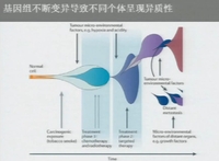 2015华东肿瘤论坛