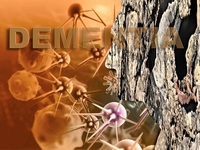 2015年阿尔茨海默病协会国际会议