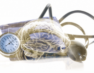 第十三届中国心脑医学大会