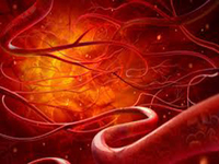 2015年中华医学会第十四次全国内分泌学学术会议（CSE2015）