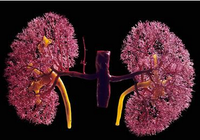 2015年中华医学会第十四次全国内分泌学学术会议（CSE2015）