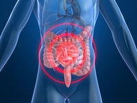 2015年美国胃肠病学会年会暨研究生课程（ACG）