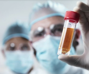 2015欧洲心脏病学会年会（ESC2015）