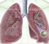 2015年欧洲呼吸学会（ERS）年会