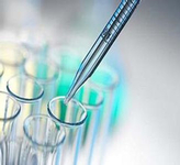 2015年第57届美国血液病协会大会