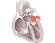 第40届美国心律学会科学年会（HRS 2019）
