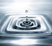 中华医学会第十五次全国精神医学会议（CSP2017）