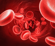 第十二届国际脑血管病高峰论坛