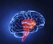 中国卒中学会第二届学术年会暨天坛国际脑血管病会议2016