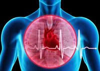 第五届中国心脏重症大会