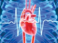 第五届中国心脏重症大会