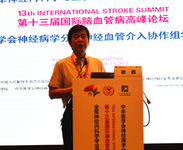 第15届国际脑血管病高峰论坛