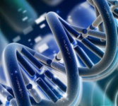 2017年欧洲心脏病学会年会（ESC2017）