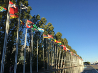 2017年第53届欧洲糖尿病研究协会(EASD)年会