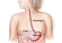 2017世界胃肠病学大会暨美国胃肠病学会年会
