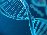 2018年美国心脏病学会年会（ACC2018）