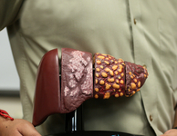 中华医学会第八次全国病毒性肝炎慢性化、重症化基础与临床研究进展学术会议