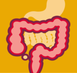 2019年CSCO指南大会