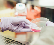 2018年美国血液学会年会(ASH)