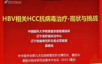 中华医学会第九次全国病毒性肝炎慢性化、重症化基础与临床研究进展学术会议