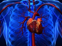 第21届中国南方国际心血管病学术会议（SCC 2019）