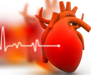 第21届中国南方国际心血管病学术会议（SCC 2019）