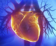 第21届中国南方国际心血管病学术会议（SCC 2019）