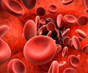 第二十二届全国介入心脏病学论坛（CCIF2019）