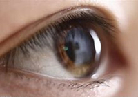 2020年美国糖尿病协会第80届科学会议（ADA）