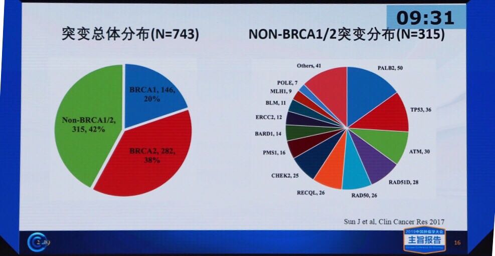 2019cco解云涛教授家族遗传性乳腺癌中国之路