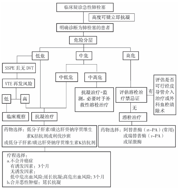 肺栓塞抗栓治疗流程图