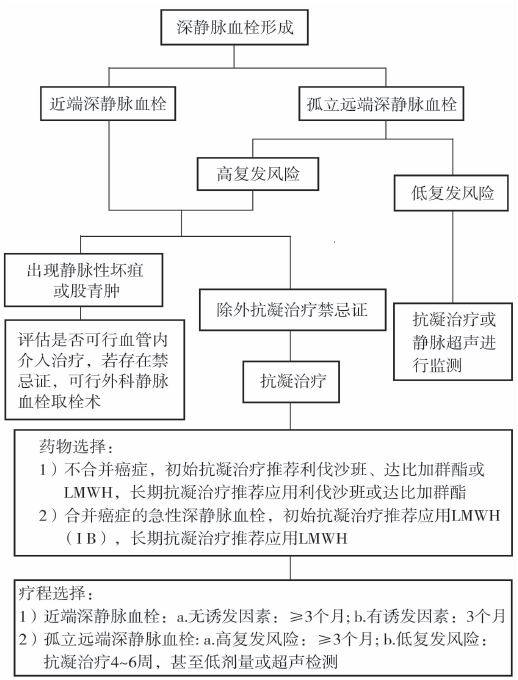 淺談靜脈血栓栓塞症的治療 | 指南共識_靜脈血栓_治療_指南共識_醫脈