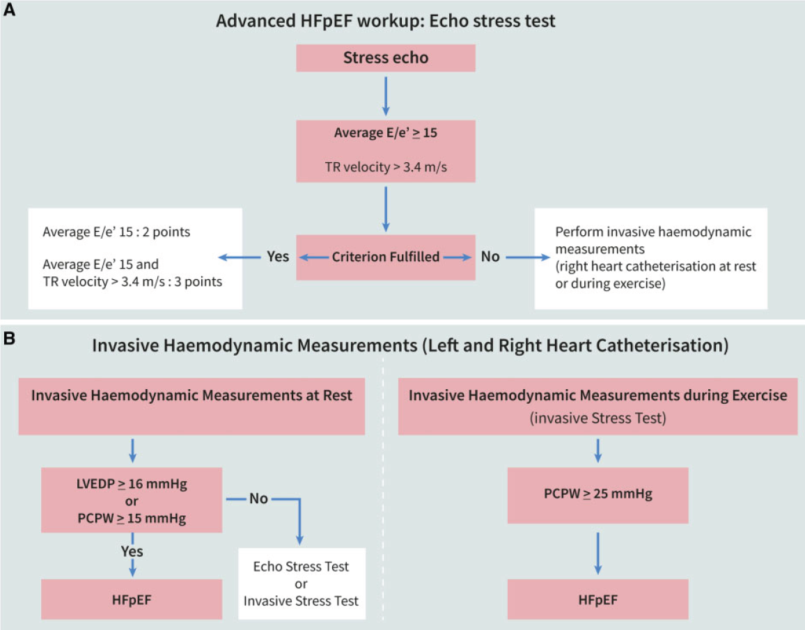 盧永昕:hfpef的診斷和評估|gw-icc 2019