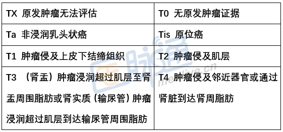 肾盂和输尿管肿瘤的tnm分期临床实战