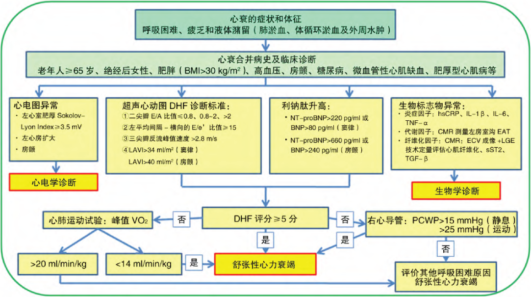丨指南共识_舒张性心力衰竭_射血分数保留的心衰_hfpef_医脉通