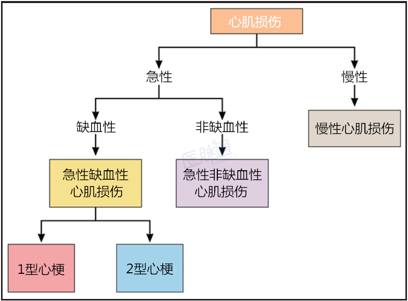 白皮書2型心肌梗死和急性非缺血性心肌損傷的評估和治療