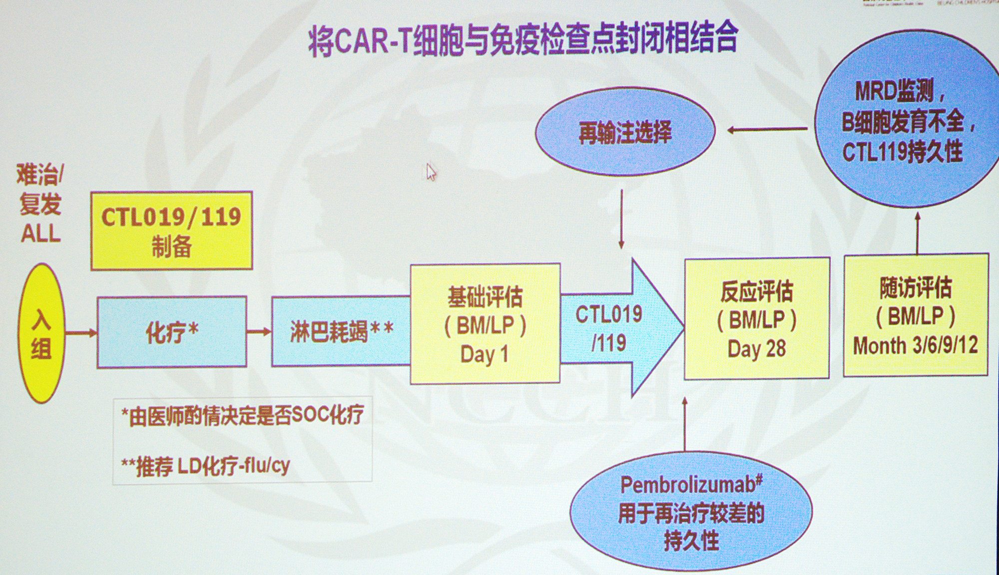 郑胡镛教授拓展儿童白血病免疫治疗的视野ash北京传达会