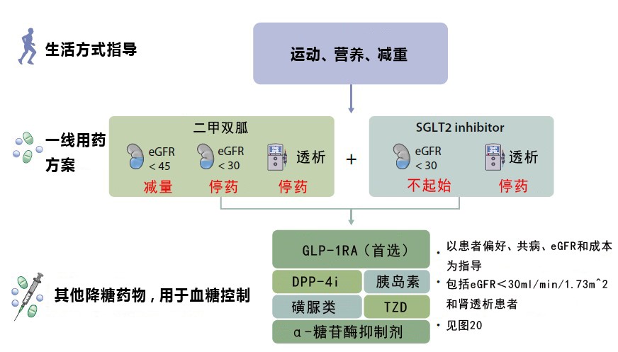 《2020kdigo臨床實踐指南:慢性腎臟病患者的糖尿病管理》重磅發佈!