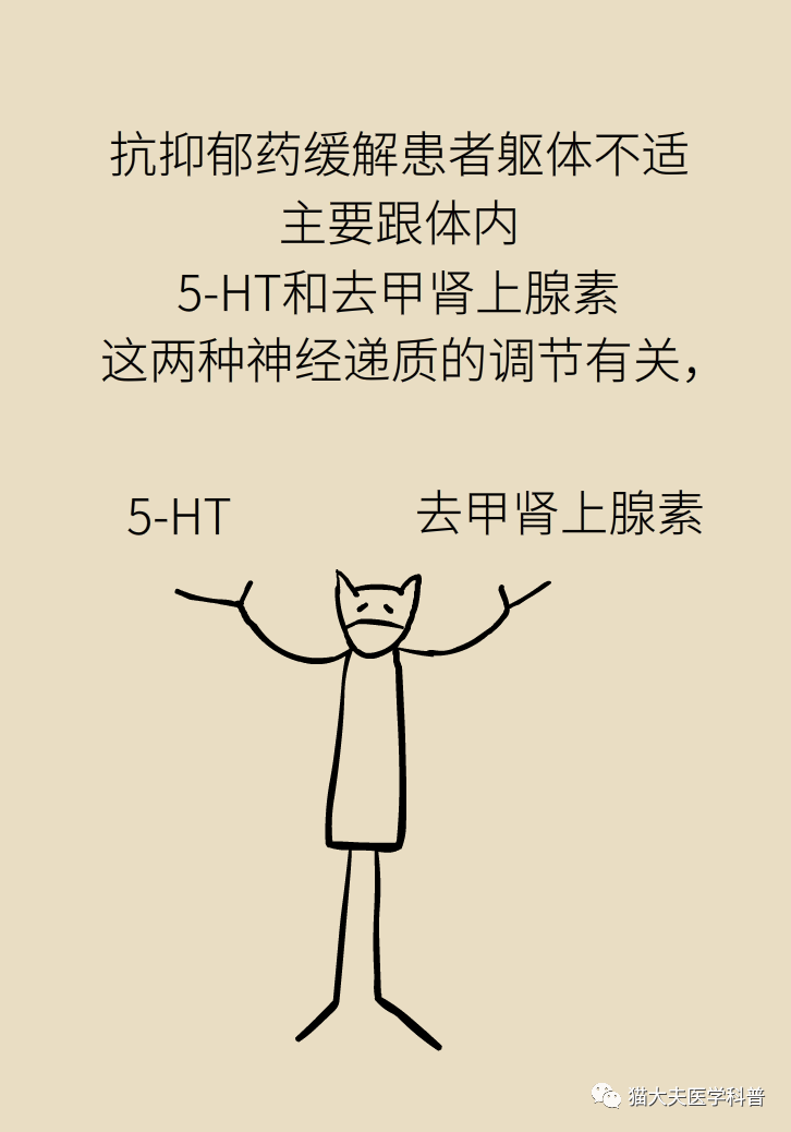 1614231987868429.png